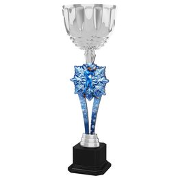 Trophäe ACUPW2025M14 | Biathlon