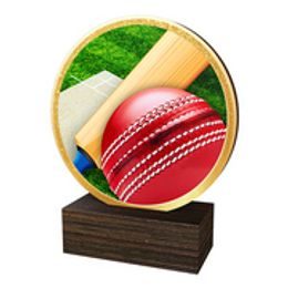 Holztafel TFRW578 | Cricket