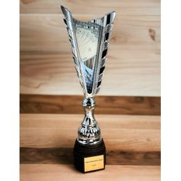 Sportovní pohár SL36 | Karty