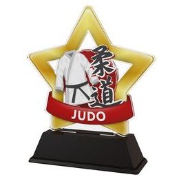Akrylátová trofej STAR001M36 | Bojová umění