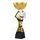 Akrylátová trofej ACUPCGNMINIM17 | Bojové umenia