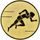 Emblem LTK26 | Laufsport