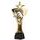 Akrylátová trofej ASTARN001M15 | Bojová umění