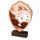 Holztafel TFRW040 | Schwimmen