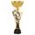 Akrylátová trofej ASTARNCUPM15 | Bojová umění