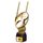 Dřevěná trofej ACTCWR136 | Americký fotbal