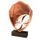 Holztafel TFRW137 | Rugby