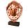 Holztafel TFRW093 | Reitsport