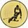 Emblem LTK95 | Skifahren
