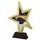 Akrylátová trofej STAR002M4 | Hokej