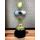 Pokal STANDARD S0251