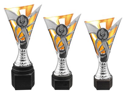 Jak vybrat perfektní sportovní pohár či trofej?
