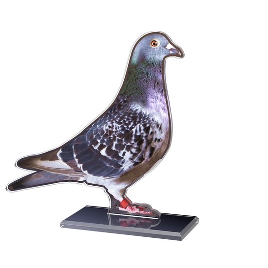 Acryltrophäe AWF M10 | Zucht
