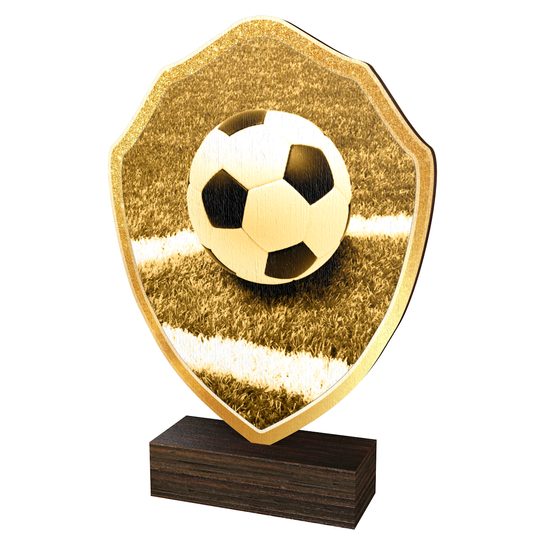 Dřevěná plaketa TFRW313 | Fotbal