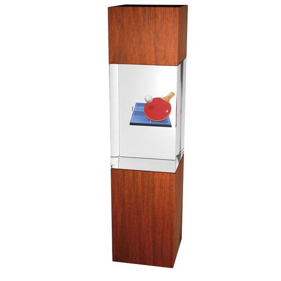 Glastrophäe - Holz-Glas Kombination CR3067M10 | Tischtennis
