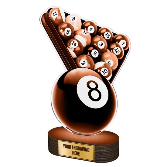 Akrylátová trofej TLR2023266 | Billiard