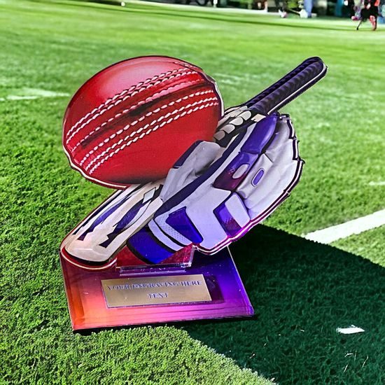Akrylátová trofej AWF M12 | Cricket