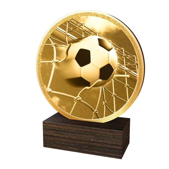 Dřevěná plaketa TFRW809 | Fotbal