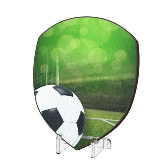 Plaketa WPP004M06 | Fotbal