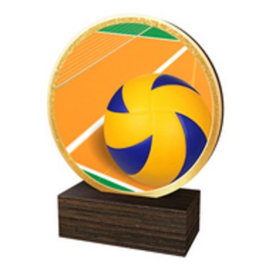 Holztafel TFRW630 | Volleyball