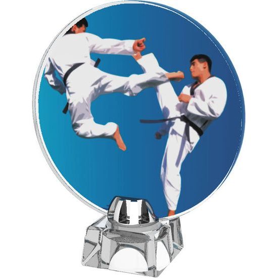 Sklenená trofej CR4043M27 | Bojové umenia