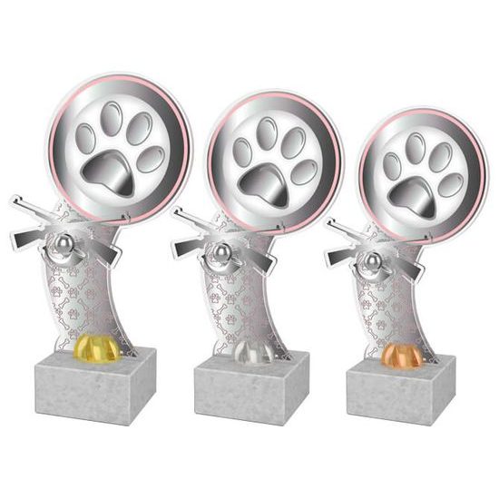 Akrylátová trofej ACTD104 | Kynologie