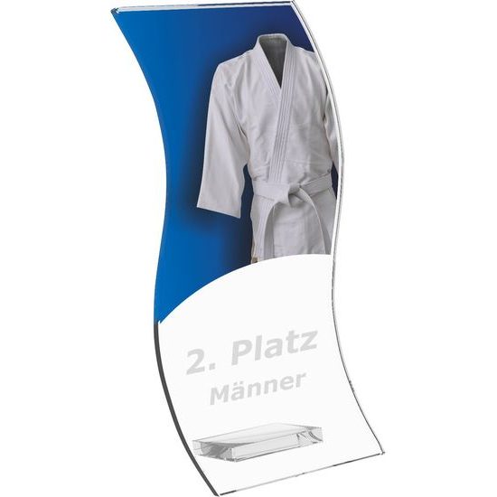 Skleněná trofej CR4142M21 | Bojová umění