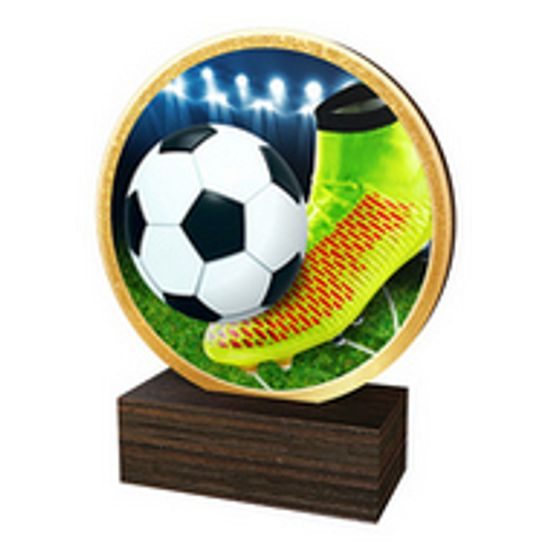 Dřevěná plaketa TFRW505 | Fotbal