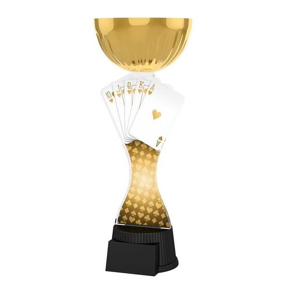 Akrylátová trofej ACUPCGNMINIM22 | Karty