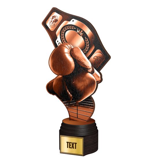 Dřevěná trofej ACTCWR102 | Bojová umění