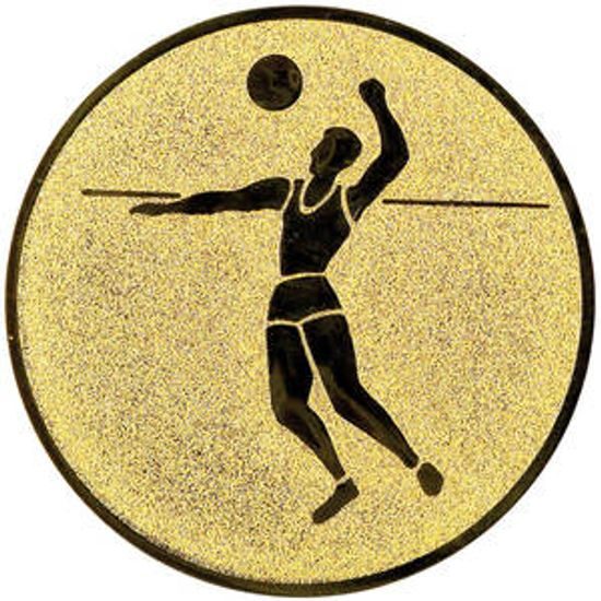 Emblem LTK21 | Volleyball