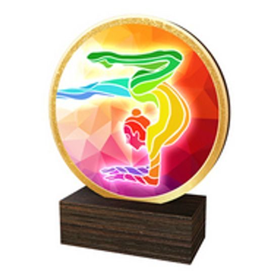 Dřevěná plaketa TFRW674 | Gymnastika