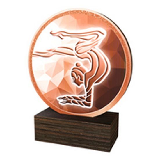 Dřevěná plaketa TFRW677 | Gymnastika