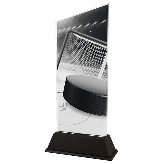 Akrylátová trofej CAS0126 | Hokej