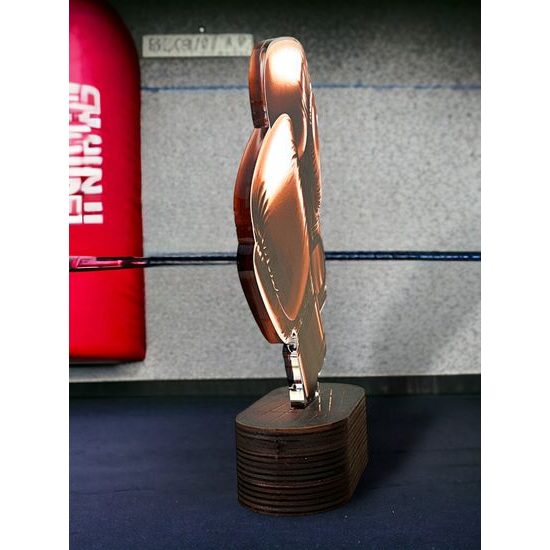 Akrylátová trofej TLR2023308 | Bojová umění