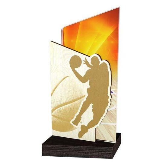 Drevená plaketa WPLA401 | Basketball