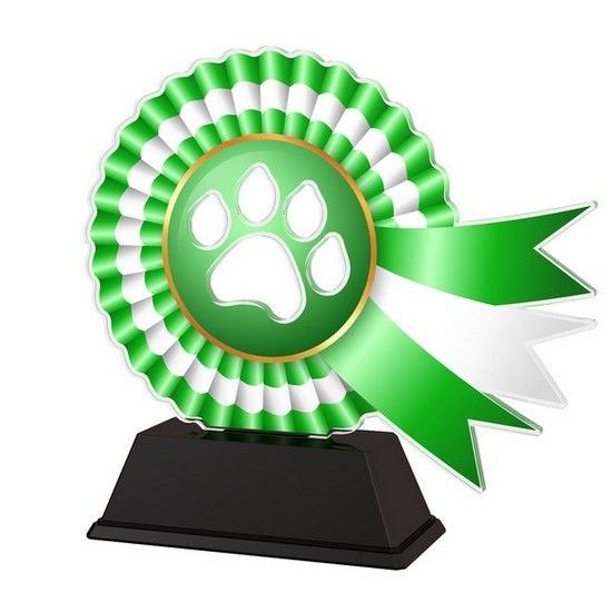 Akrylátová trofej AKECC002M06 | Kynologie