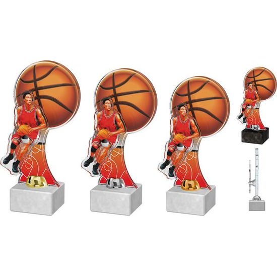 Akrylátová trofej ACTD0025M1 | Basketball