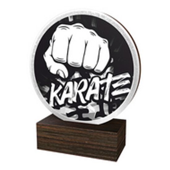 Holztafel TFRW600 | Kampfsport