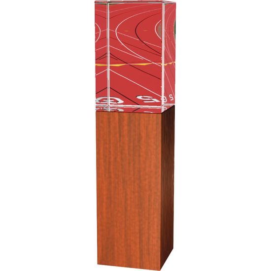 Skleněná trofej - kombinace skla a dřeva CR4021M19
