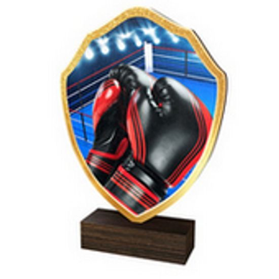 Drevená plaketa TFRW170 | Bojové umenia