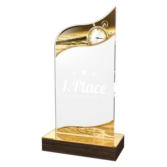 Acryltrophäe WPLA534 | Schwimmen