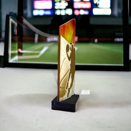 Drevená plaketa WPLA401 | Basketball