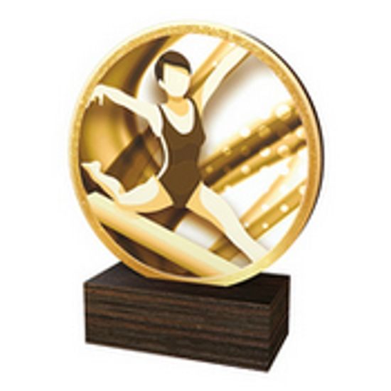 Dřevěná plaketa TFRW739 | Gymnastika