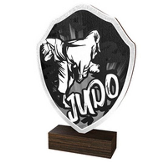 Drevená plaketa TFRW152 | Bojové umenia