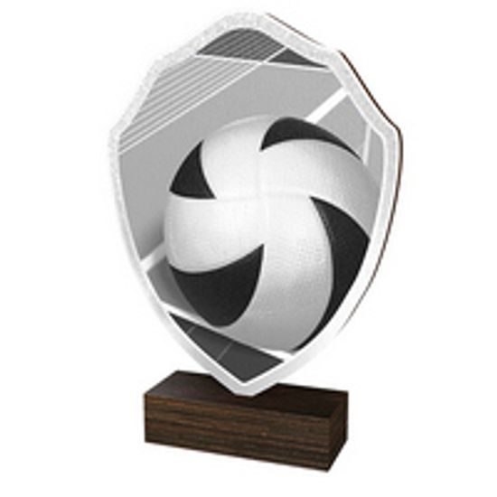 Holztafel TFRW067 | Volleyball