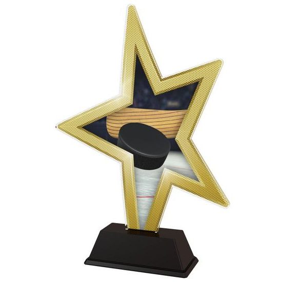 Akrylátová trofej STAR002M4 | Hokej