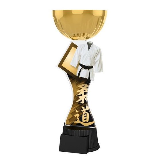 Akrylátová trofej ACUPCGNMINIM17 | Bojové umenia