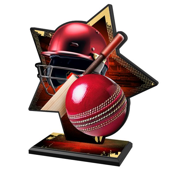 Kovová trofej SAM01M10 | Cricket