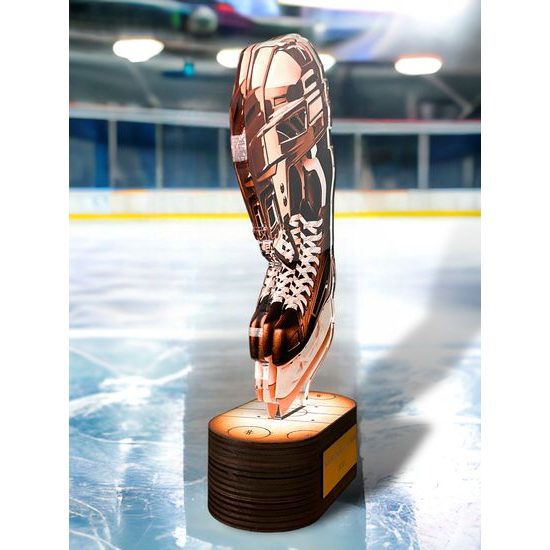 Akrylátová trofej TLR2023293 | Hokej